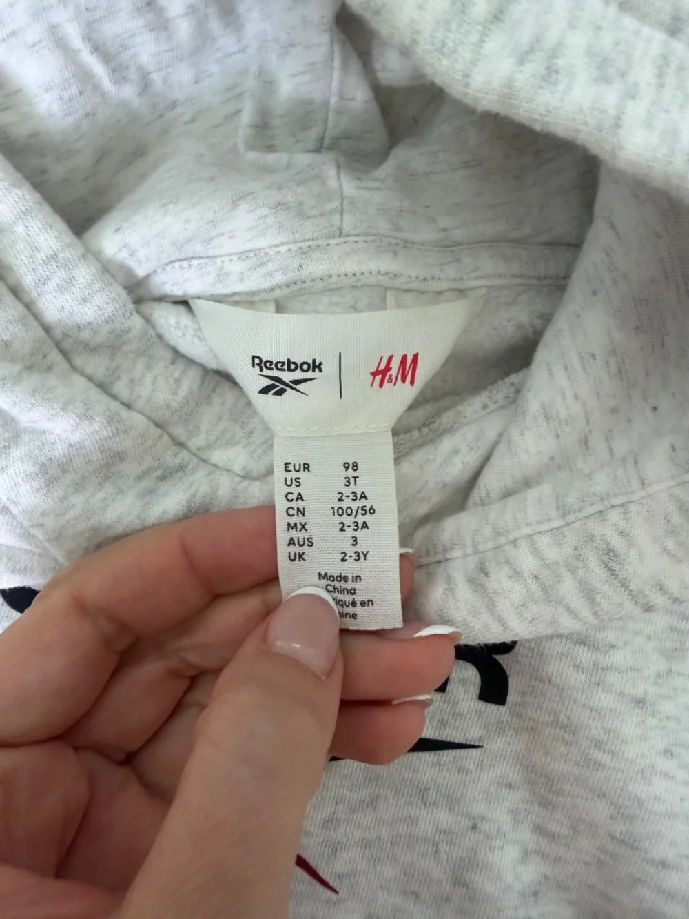 Reebok x H&M Toddler Boys 3T Tracksuit Set Hoodie Joggers 3 Piece